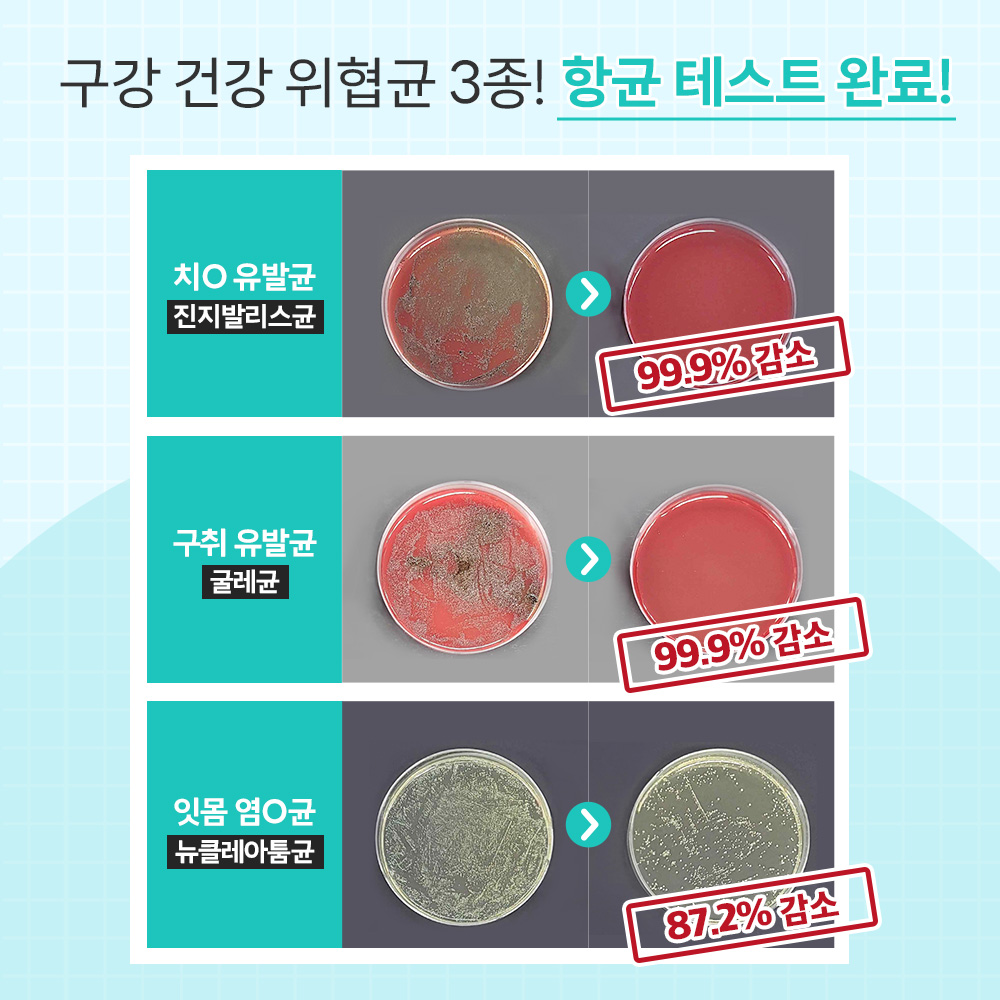 강아지 구강 건강을 위한 친근한 치아 관리 방법