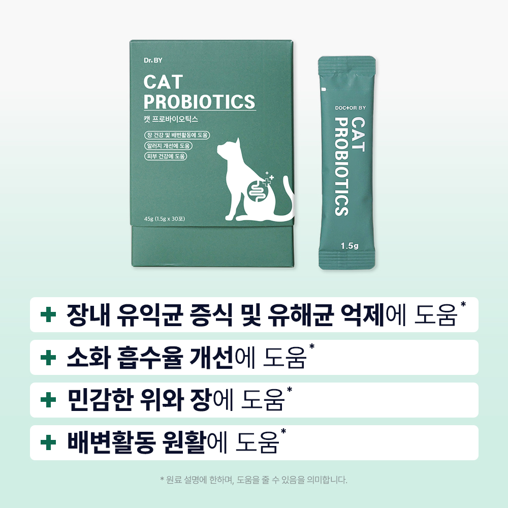 고양이 건강을 위한 유산균, 이렇게 챙기면 좋아요!