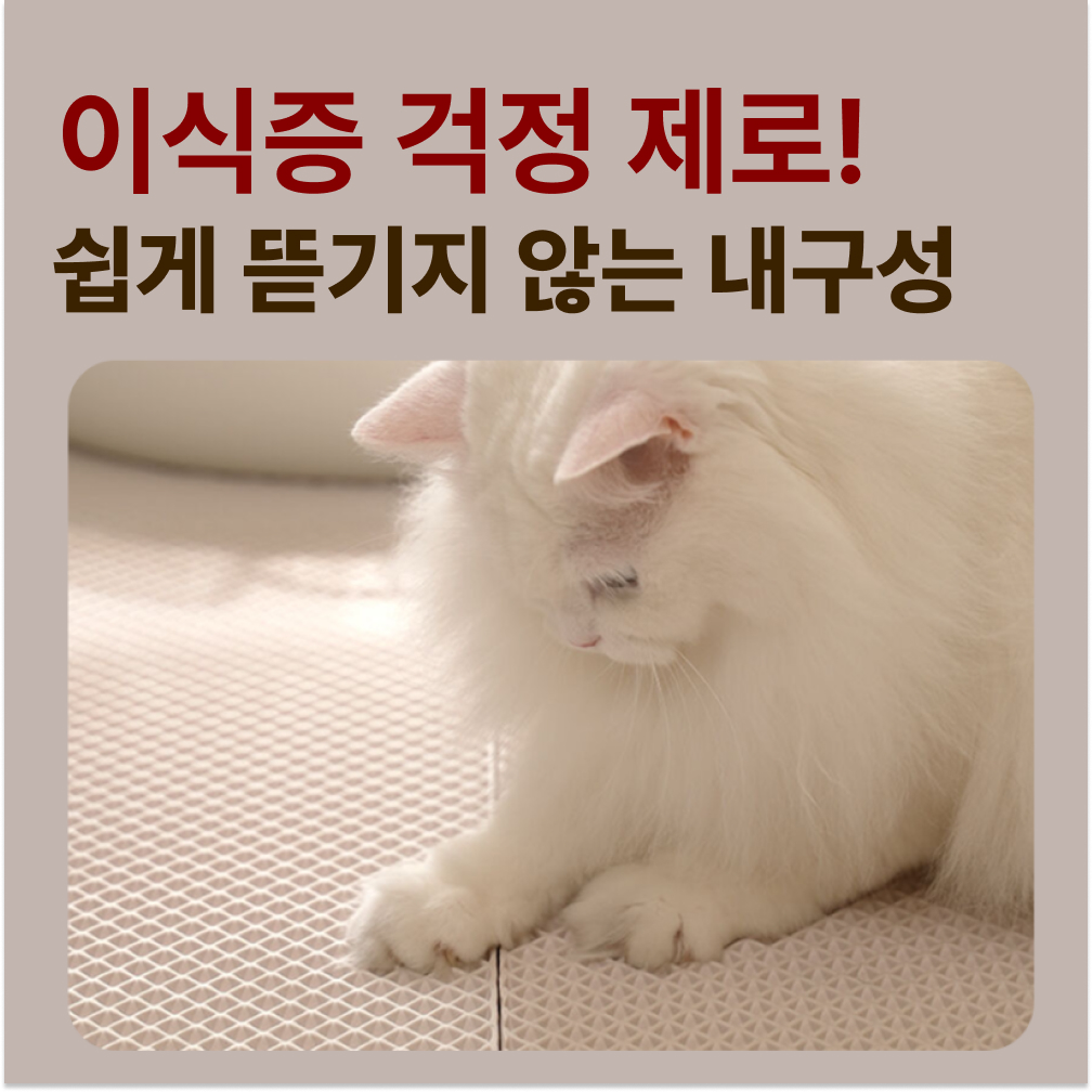 고양이 화장실 청소를 더 쉽고 깔끔하게! 대형 모래 매트 추천