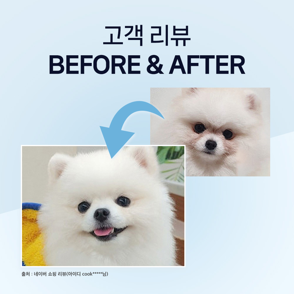 강아지 눈 건강을 위한 영양제, 눈물 자국과 냄새까지 잡아주는 제품 추천