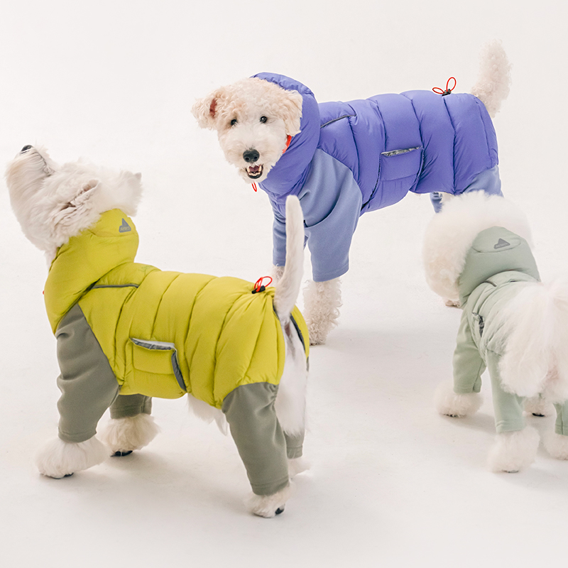 포근한 겨울 강아지 옷, 따뜻하게 입혀보세요!