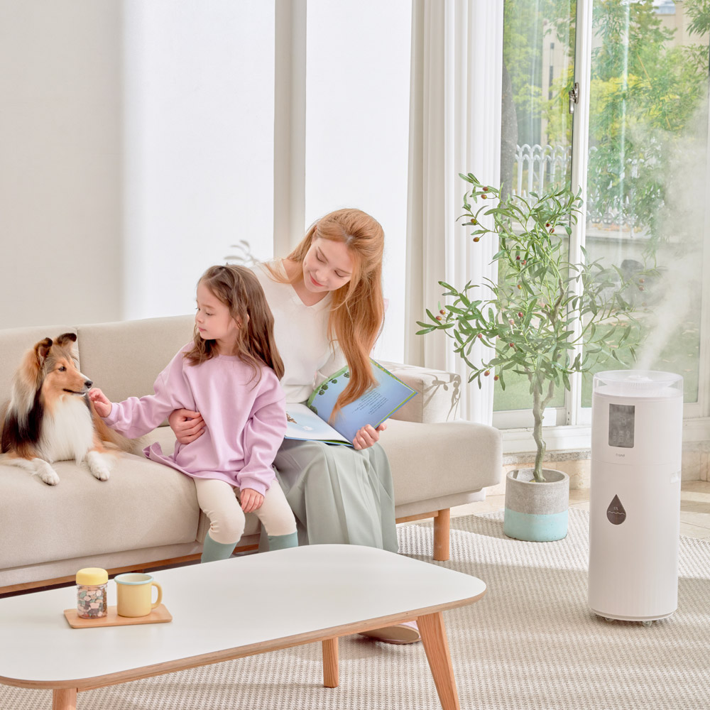 집안 공기 걱정 끝! 대용량 가습기로 쾌적한 환경 만들기