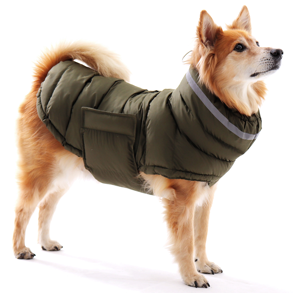 따뜻하고 귀여운 강아지 패딩 조끼, 우리 강아지에게 딱 맞는 겨울 옷 찾기