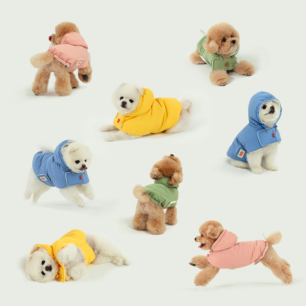 포근한 겨울 강아지 옷, 따뜻하게 입히는 방법 알려드릴게요!