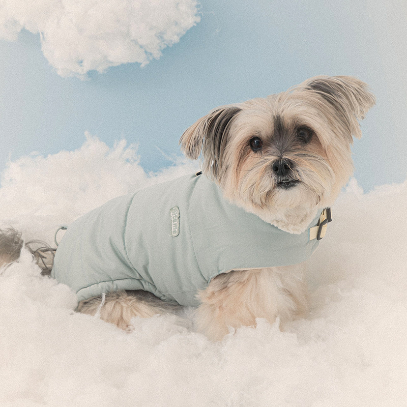 포근한 겨울, 강아지에게 딱 맞는 따뜻한 패딩 조끼 추천!