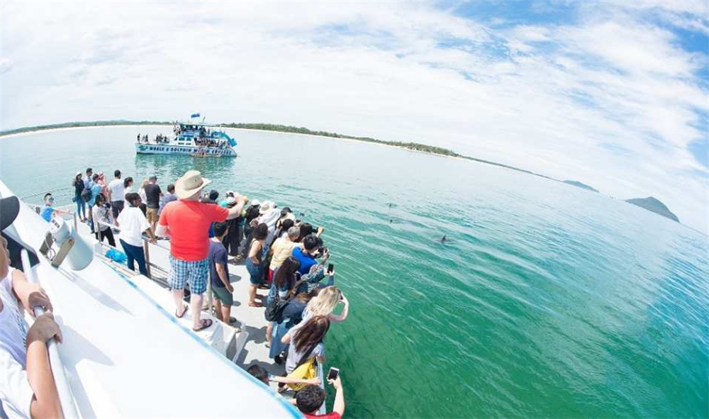 시드니에서 즐기는 포트스테판 하루 여행, 돌핀크루즈와 와이너리까지 함께!