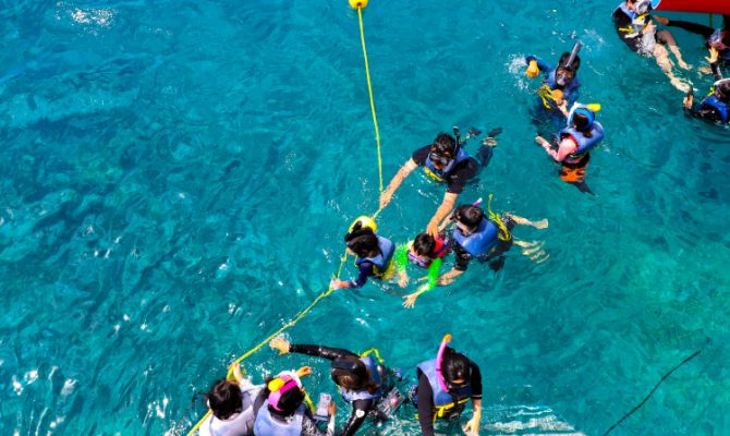 괌에서 즐기는 돌핀크루즈 체험! 돌고래와 함께하는 특별한 하루