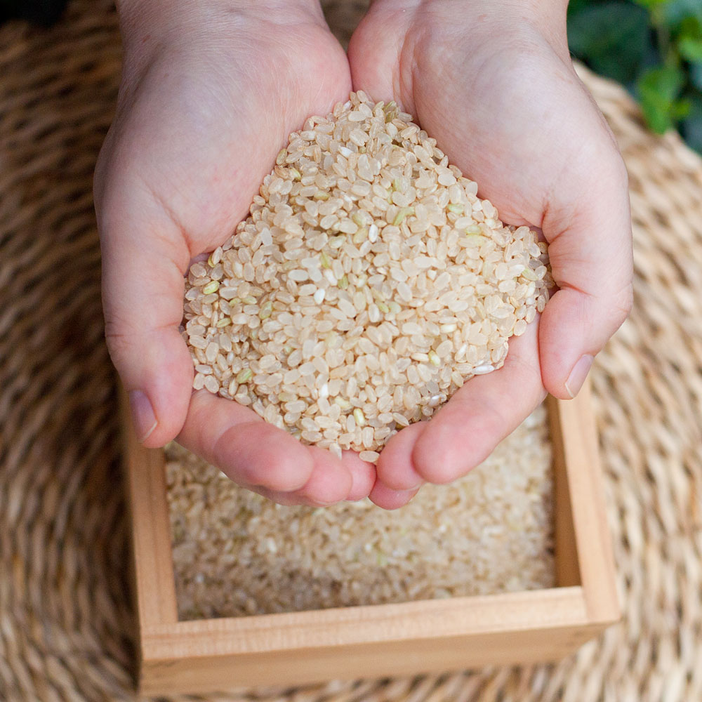 집에서 즐기는 건강한 유기농 오분도미쌀, 신선하게 당일 도정된 국산 쌀로 맛보세요!