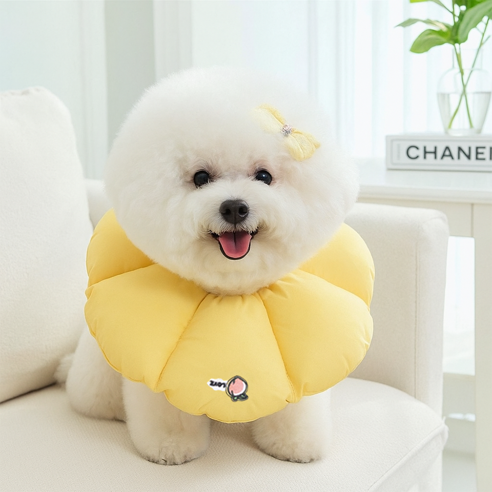 반려동물 넥카라, 이렇게 선택하면 좋아요! 강아지와 고양이 모두 안전하게 보호하는 방법