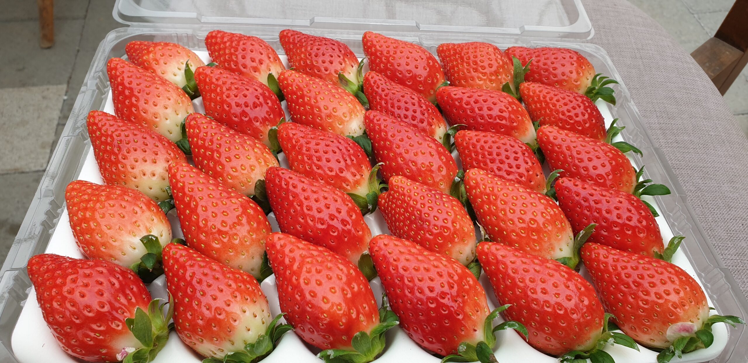 달콤한 딸기와 복숭아 향이 가득한 논산 왕딸기, 지금 바로 만나보세요!