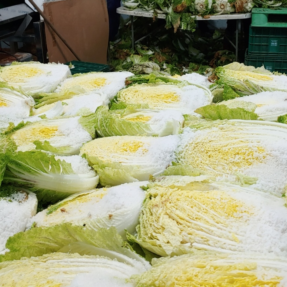 강원도 고랭지에서 자란 신선한 절임배추로 김장 준비 끝내기!