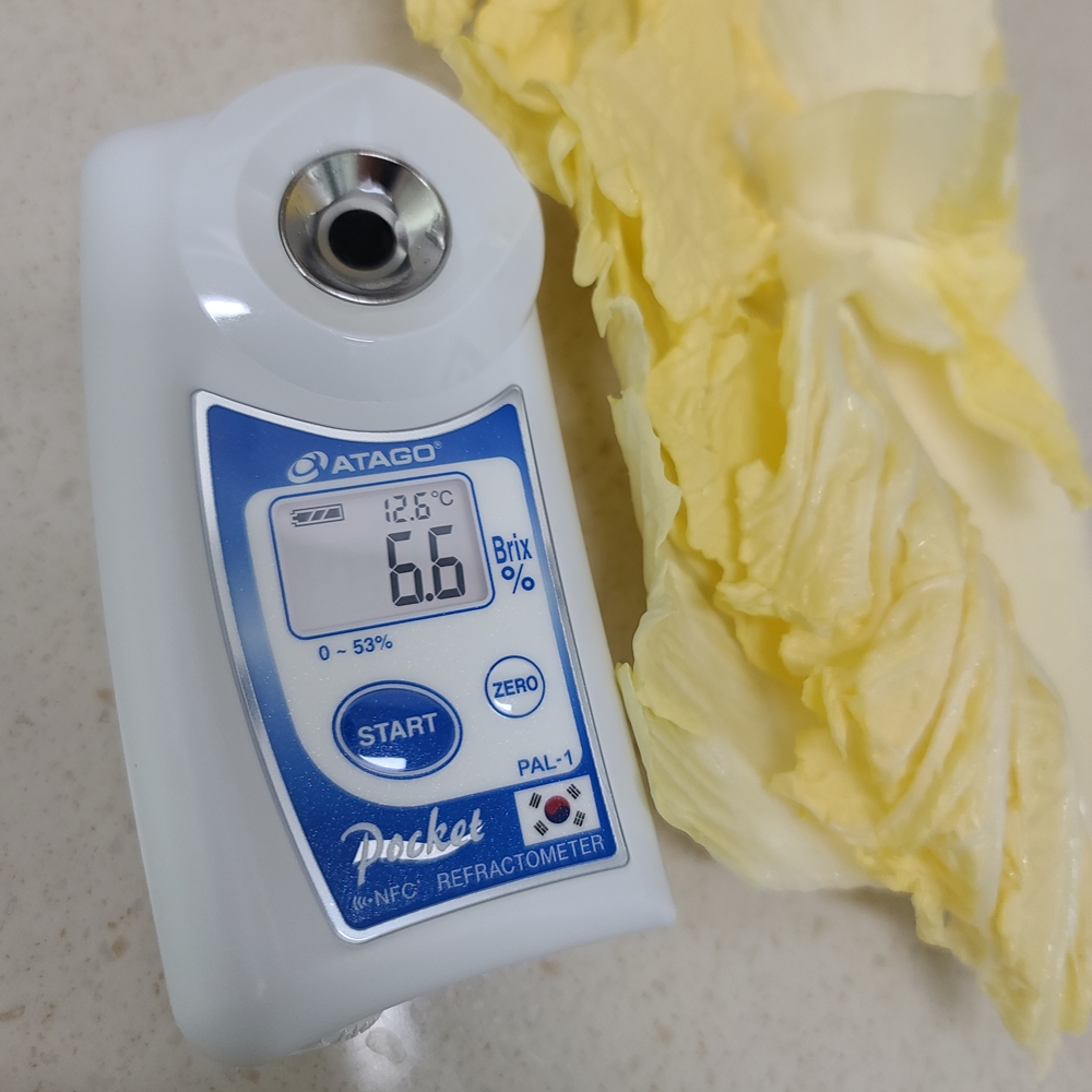 친근하게 다가오는 배추 절임, 해남 황금 배추로 김장 준비하세요!