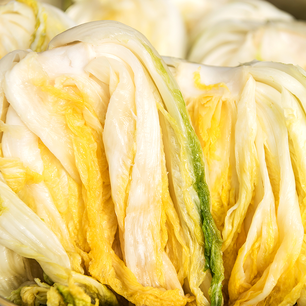 신선하고 속 꽉 찬 천일염 배추로 김장 준비하세요!