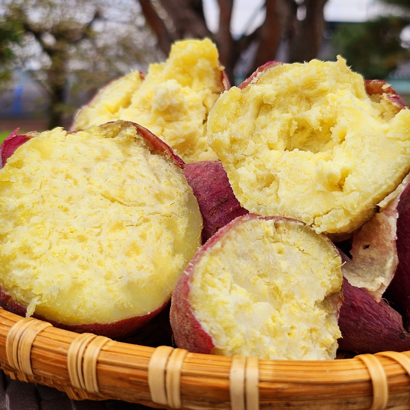 익산에서 만나는 달콤한 밤고구마, 신선하고 저렴하게 즐기기