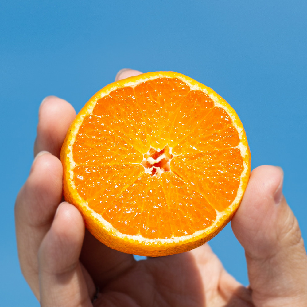 제주도 감귤 선물세트, 달콤한 향과 신선함이 가득한 추천 아이템!