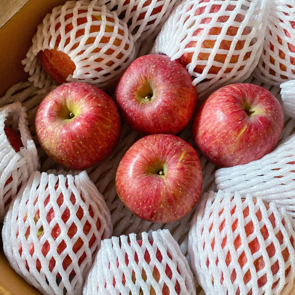 달콤하고 신선한 사과, 어디서든 쉽게 만날 수 있어요!