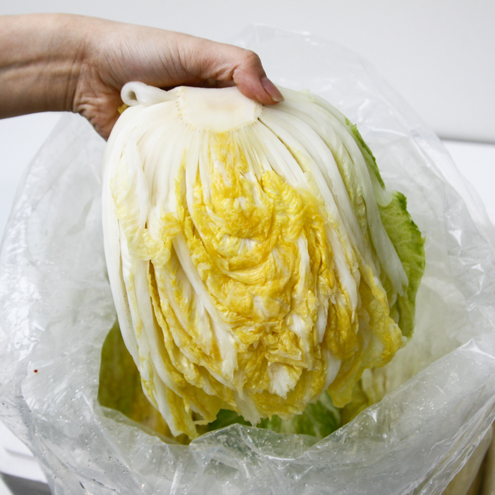 친근하게 다가가는 절임배추 이야기, 지금 바로 알아보세요!