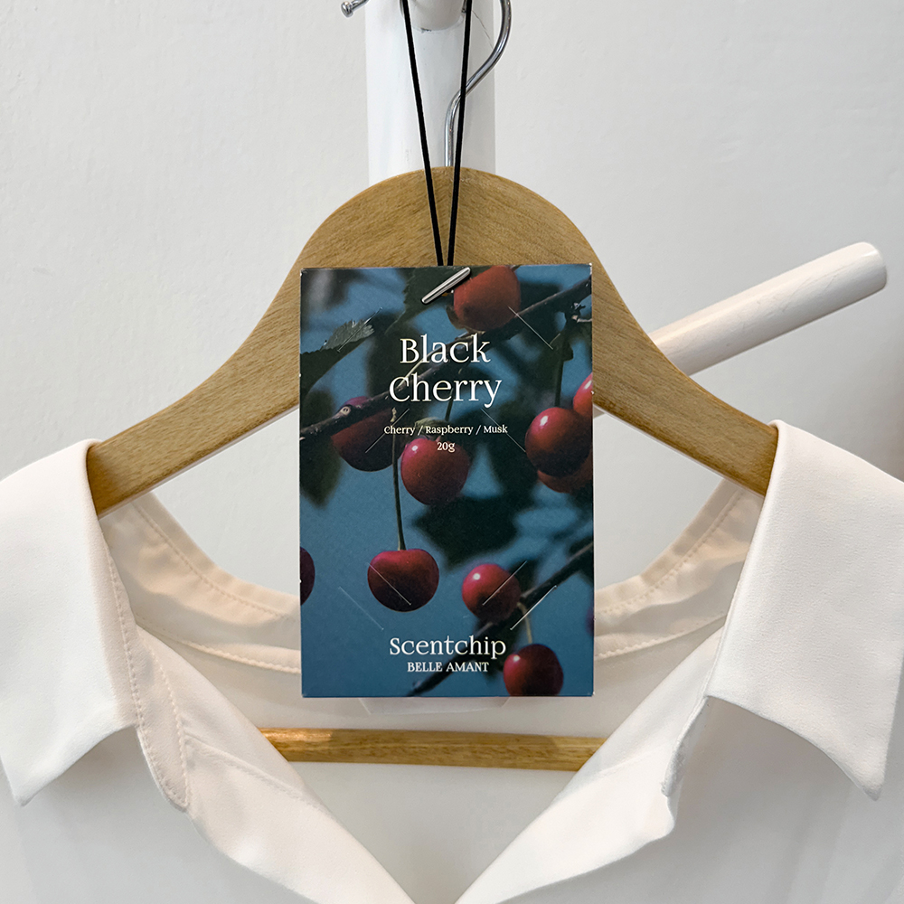 차량 내부를 산뜻하게! 벨르아망 센트칩 방향제 추천