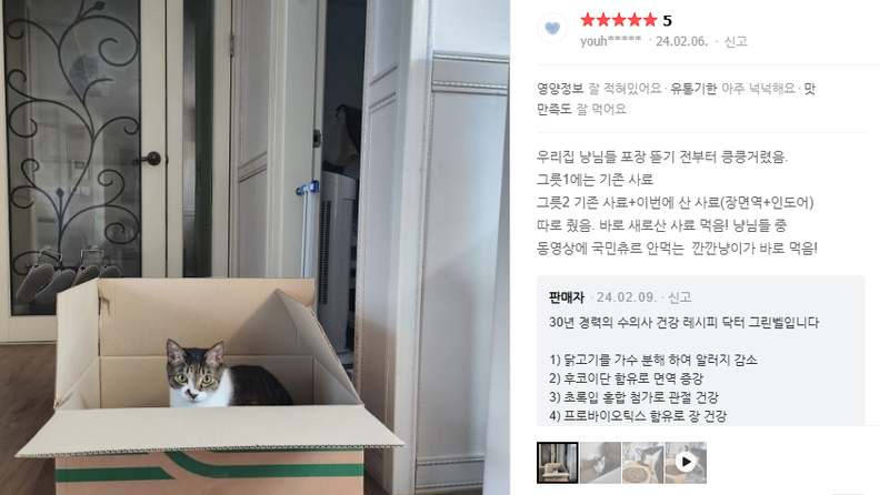 고양이 건강을 위한 최고의 선택, 장&면역 사료로 활력 넘치는 하루를!