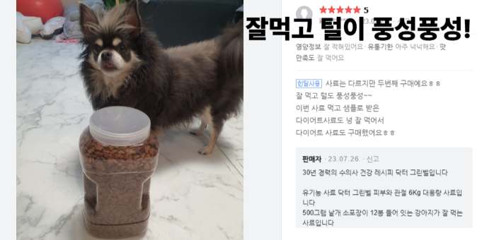 피부와 관절 건강을 챙기는 강아지 사료, 한번 살펴보세요!