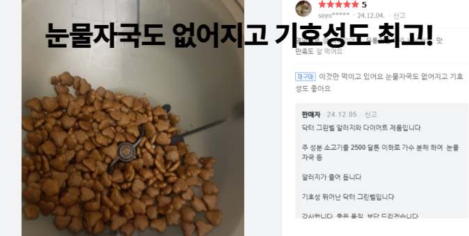 반려견을 위한 건강한 선택! 알러지와 다이어트에 딱 맞는 강아지 사료 추천