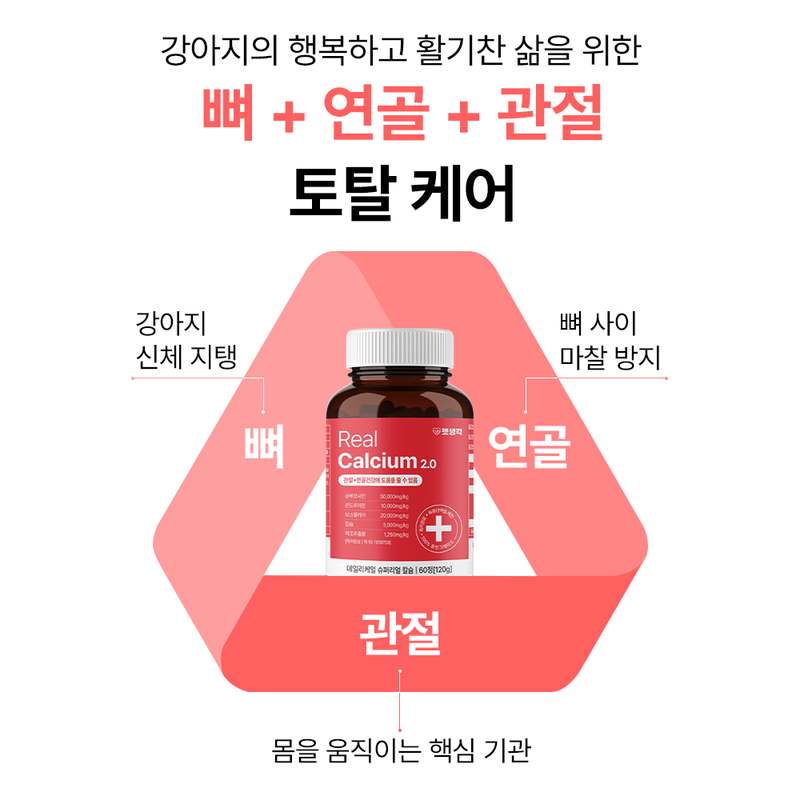 강아지 관절 건강을 위한 영양제, 쉽게 챙기기 좋은 선택!