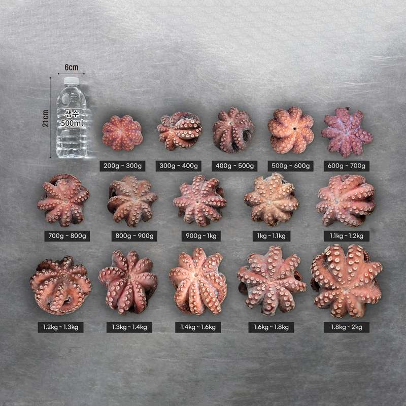 집에서 간편하게 즐기는 국내산 자숙 돌문어 숙회, 손질도 쉽고 맛도 최고!