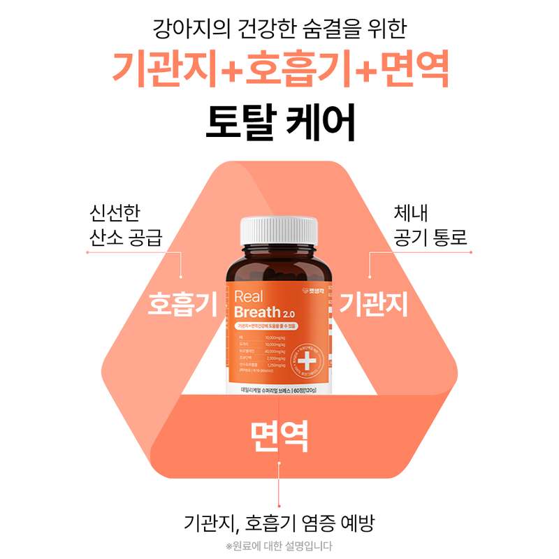 강아지 건강을 위한 기관지 영양제, 이렇게 선택하세요!