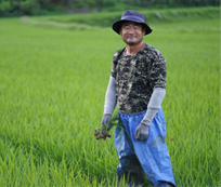 집에서 맛있게 즐기는 일품 햅쌀, 다양한 무게로 만나보세요!