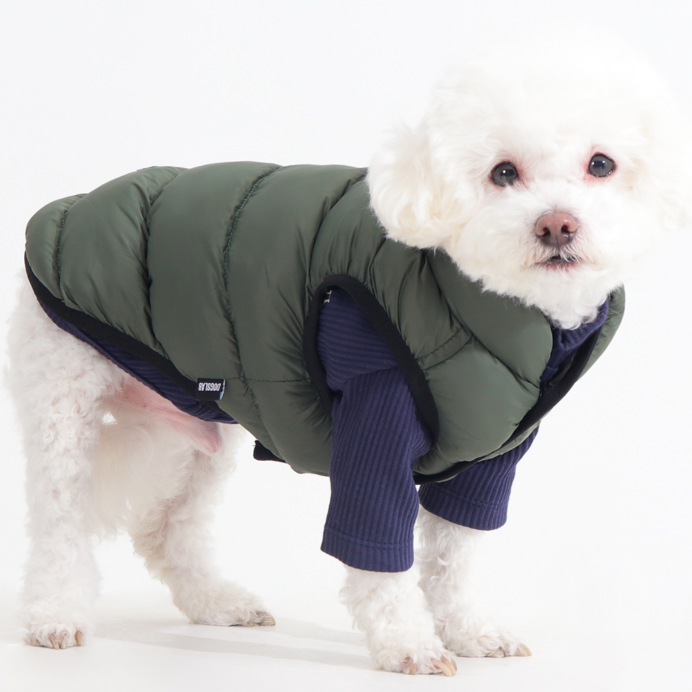 강아지 겨울 옷, 가볍고 따뜻하게 입히는 방법 알려드릴게요!