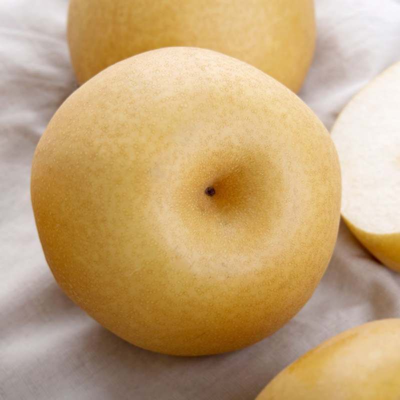 가정에서 즐기는 달콤한 나주배, 신고배로 건강하게 먹어요!