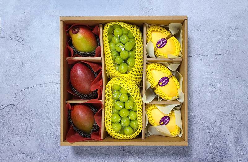 추석 선물로 딱 좋은 과일 세트, 어떤 걸 선택할까 고민되시나요?