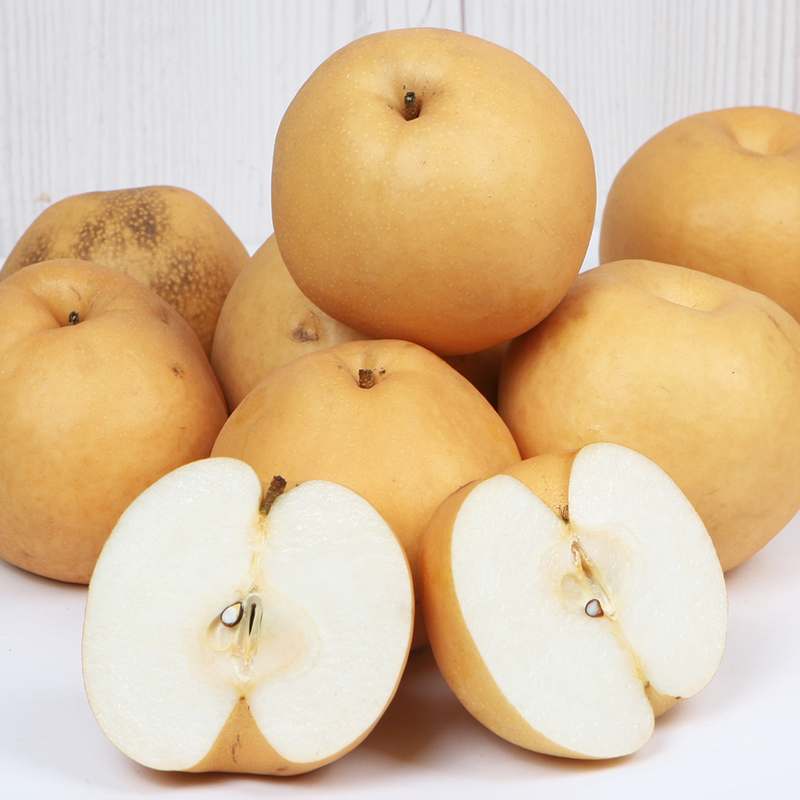 올해 수확한 나주배, 5kg 실속형과 고급형으로 만나보세요!