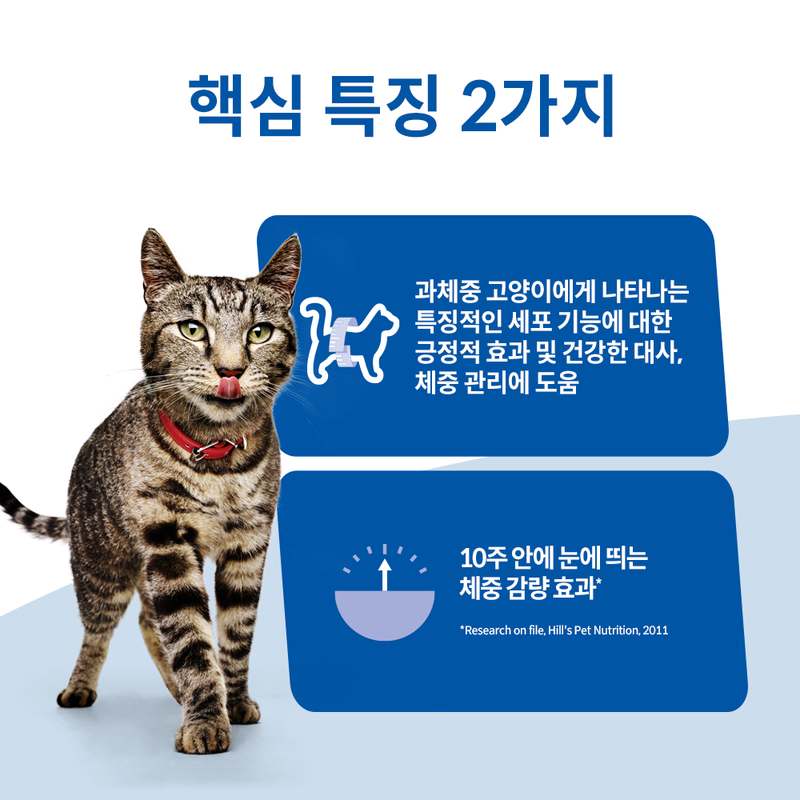 고양이 건강을 위한 최고의 선택, 힐스 어덜트 퍼펙트 웨이트 사료 이야기