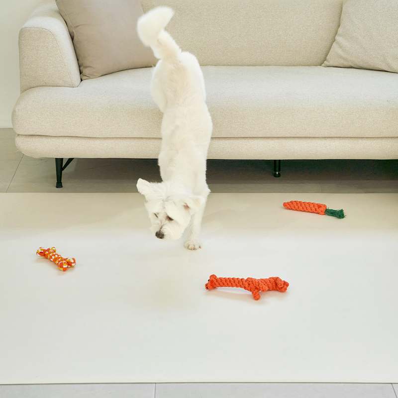 집에서 강아지와 고양이에게 딱 맞는 편안한 매트 추천!