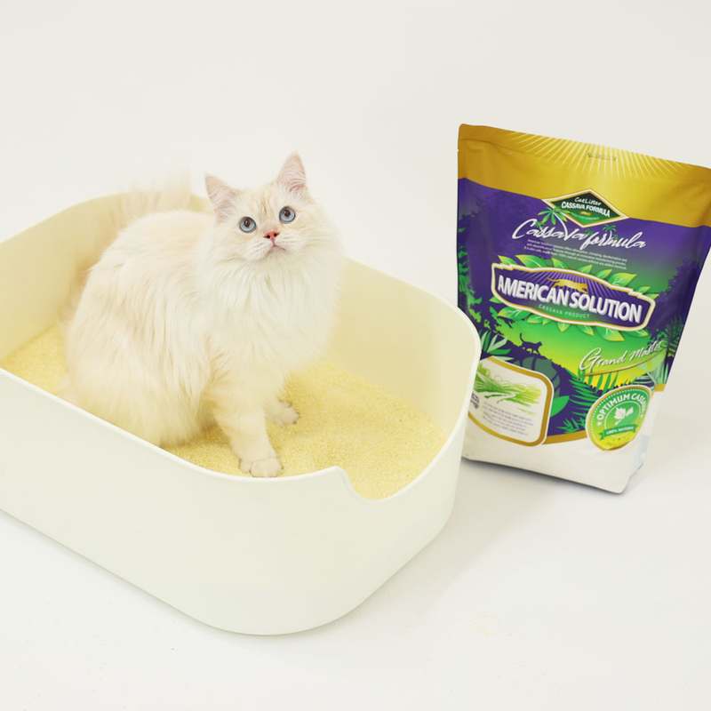 편하게 쓰는 고양이 모래, 브라질산 카사바로 만든 먼지 없는 제품 추천!