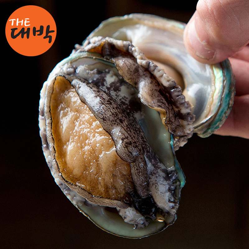 완도에서 맛보는 활 전복 보양식 선물세트, 복날에 딱 좋아요!