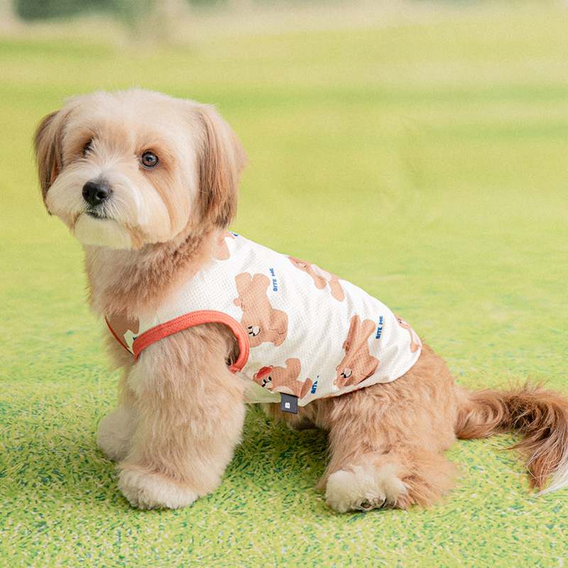 더운 여름 강아지에게 딱! 시원한 쿨 조끼 추천