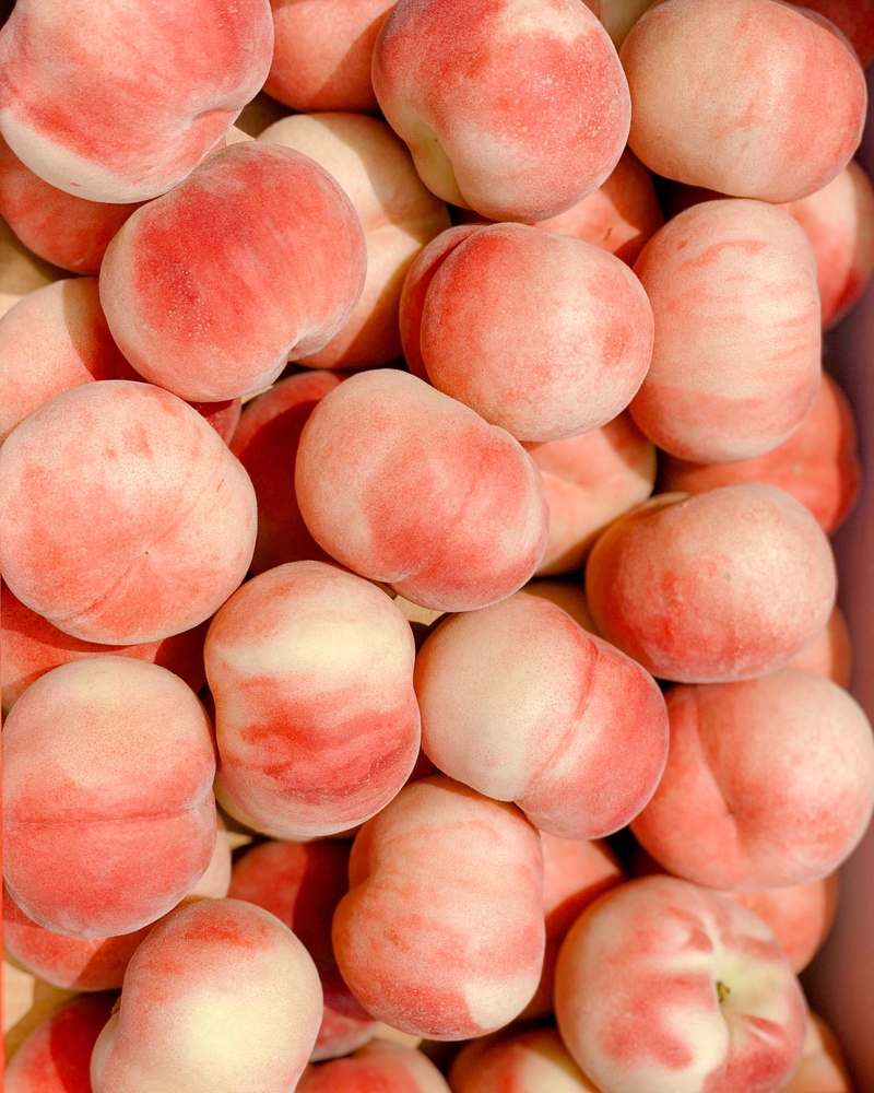 달콤한 복숭아, 다양한 품종과 신선함을 한눈에 만나보세요!