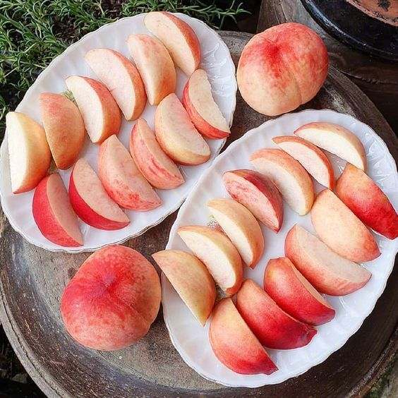 달콤한 복숭아와 황도, 신선한 물복숭아까지! 여름철 과일 추천