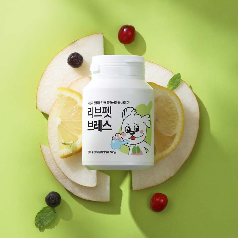 우리 강아지와 고양이 건강을 위한 기관지 영양제 추천, 쉽게 챙기기!