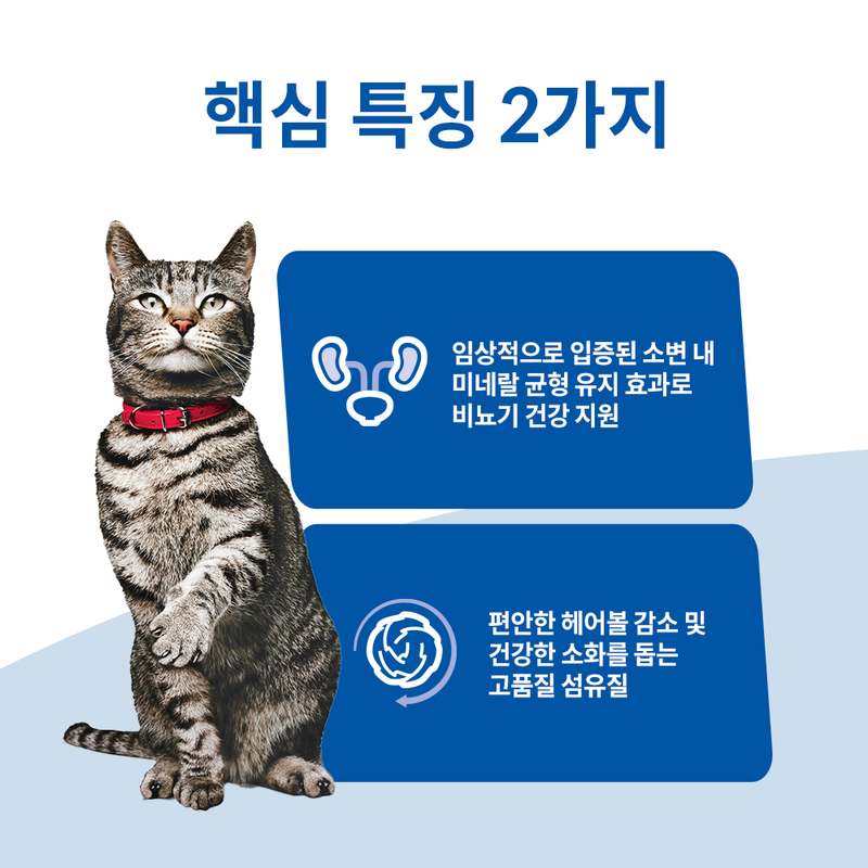 고양이 건강을 위한 최고의 선택, 힐스 어덜트 헤어볼 컨트롤 사료를 만나보세요!