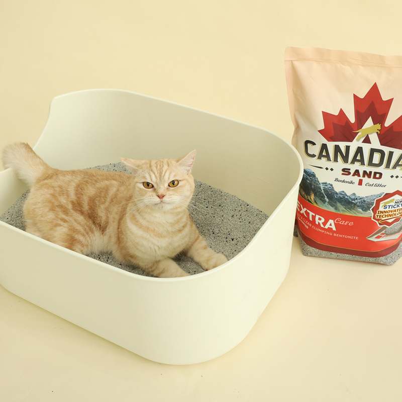 고양이 모래, 캐네디언샌드 벤토나이트로 깔끔하게 관리하는 방법