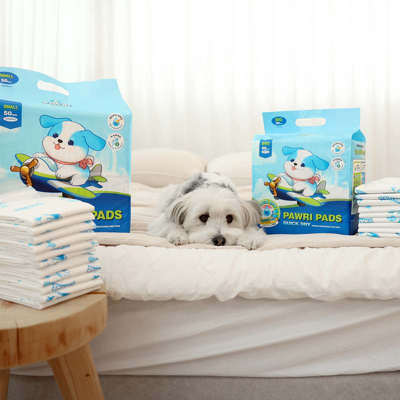 일상에서 편하게 쓰는 대형 배변패드 추천, 포우리 퀵드라이 후기