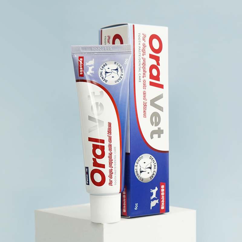 반려동물 입냄새 걱정 끝! 간편하게 구취 제거하는 방법