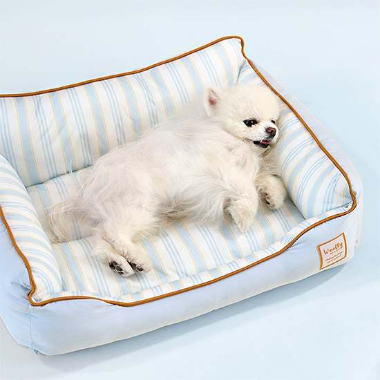 더운 여름철 강아지와 고양이도 시원하게! 쿨링 방석 추천