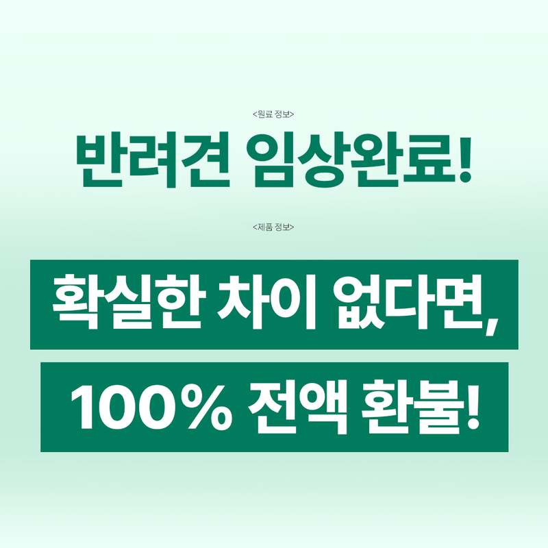 강아지 관절 건강, 이렇게 챙기면 좋아요! 쉽게 시작하는 관절 영양제 이야기