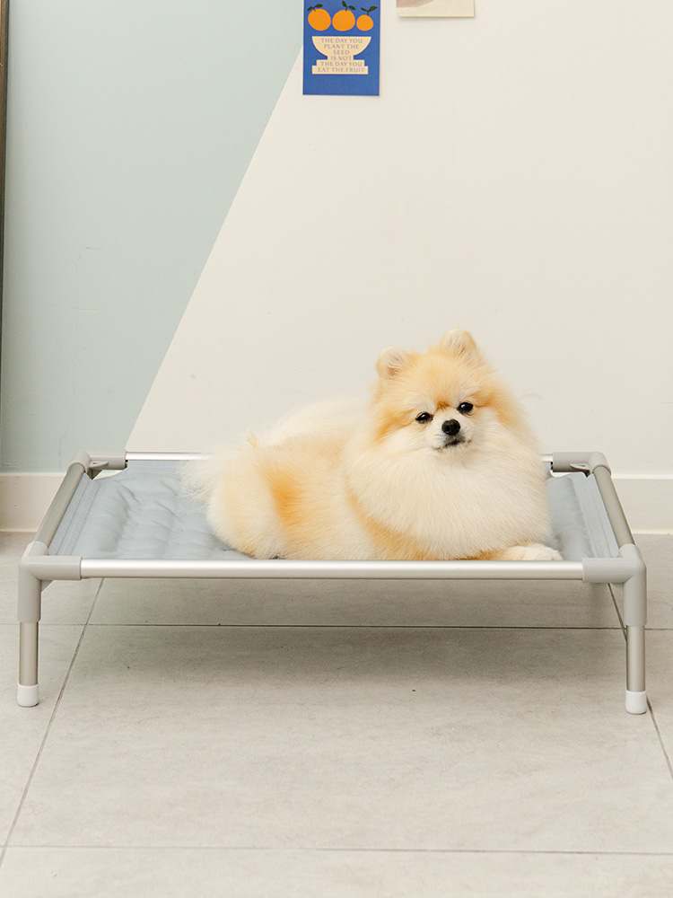 더운 날씨에 딱! 강아지와 고양이 모두 시원하게 쉴 수 있는 쿨매트 추천