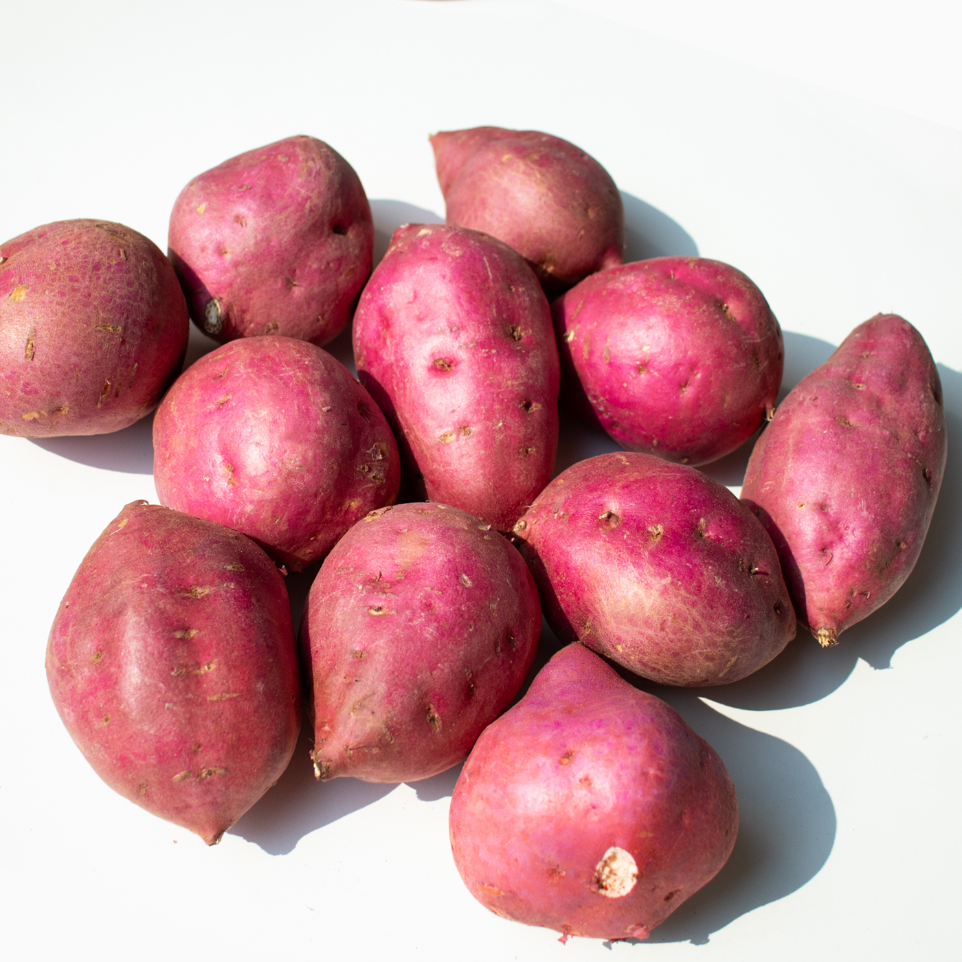 달콤하고 쫄깃한 밤고구마, 집에서도 쉽게 즐기기!