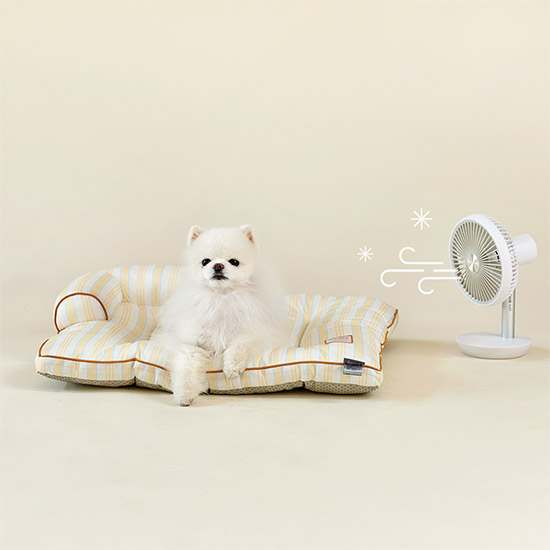 더운 여름철 강아지와 고양이도 시원하게! 울리 쿨링 필로우 추천